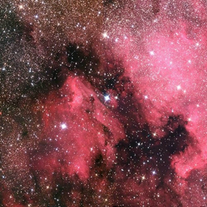 奸插舔阴户动漫
